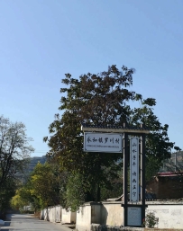 正宁县罗川古城摄影作品