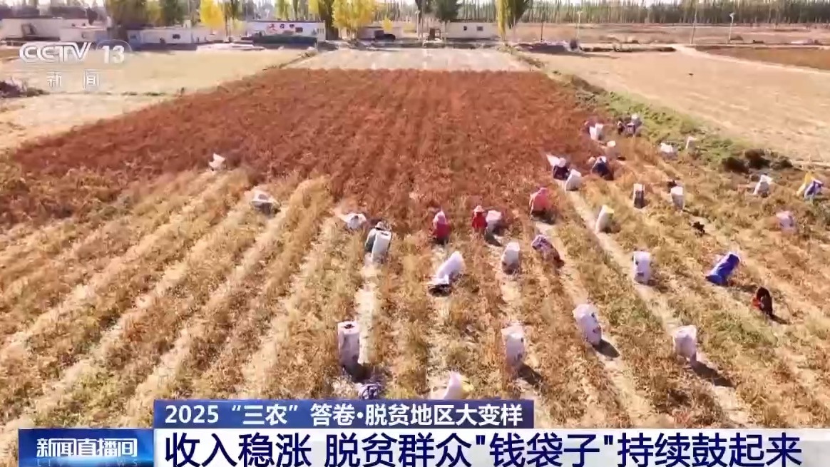 交卷！脱贫地区大变样 这份答卷超亮眼