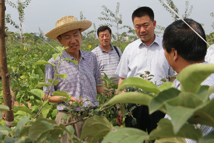 张平督查指导正宁县林业工作