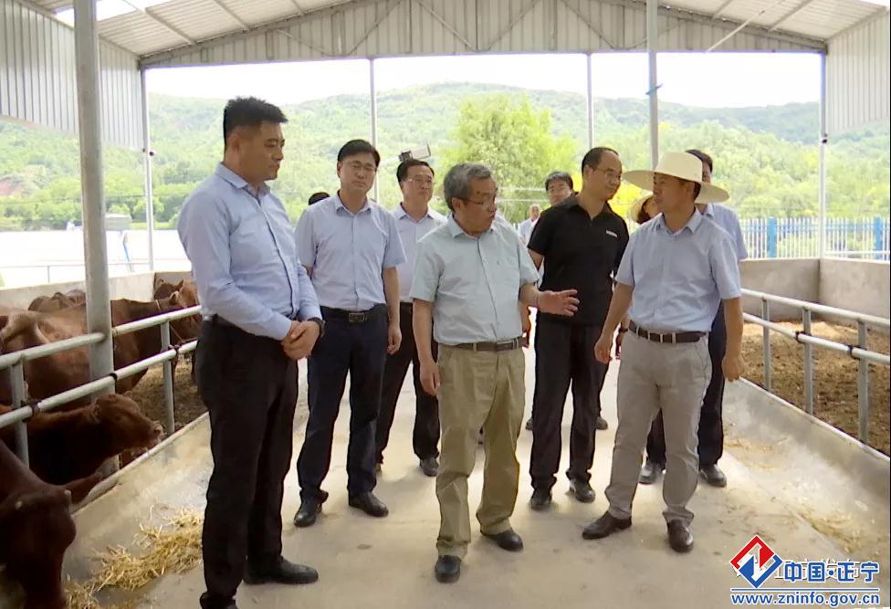 9473817ee9db4c72a1a4d247226ad177.jpg 9473817ee9db4c72a1a4d247226ad177.jpg