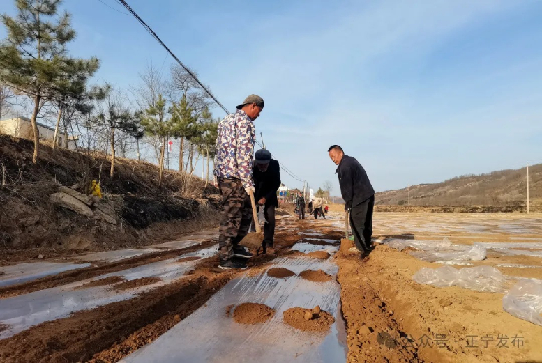 正宁:抢墒抢时春耕忙 顶凌覆膜掀热潮