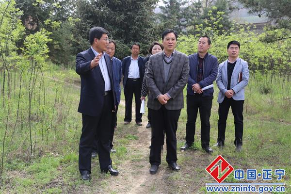 蔡文辉督查棚户区改造工作