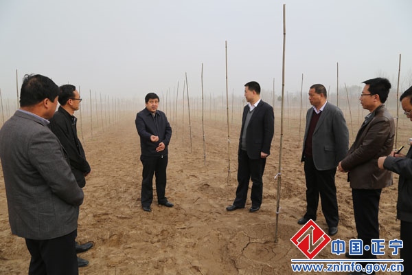张龙杰调研督查春季农业生产工作