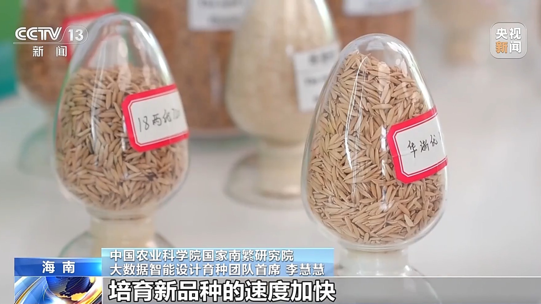 从能源到育种 我国人工智能企业数量已超6200家