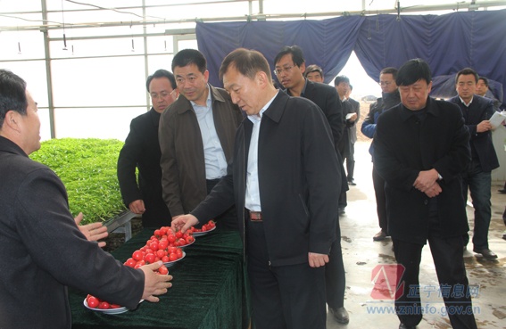 市委副书记任燕顺来正宁调研