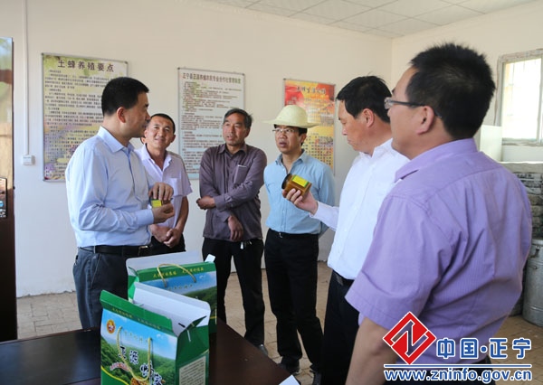 张龙杰督查全县上半年重点工作