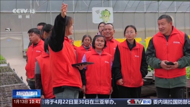 无人机植保+数字化管控 “00后种菜班”让智慧种菜成为田间日常