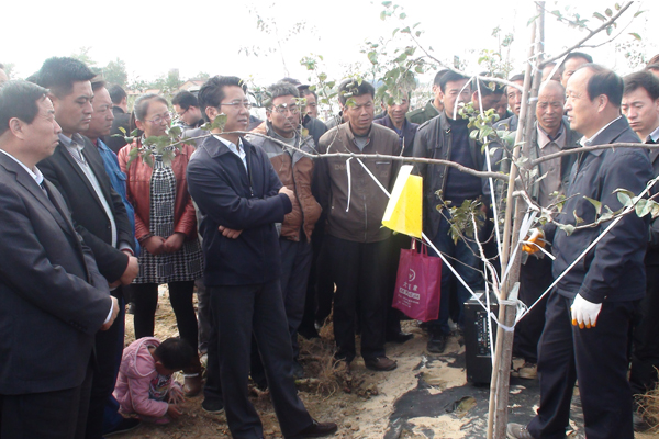 正宁县举办2014年秋冬季苹果园管理培训