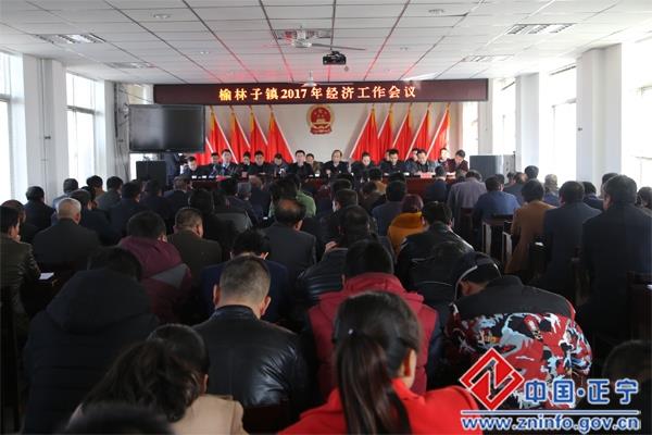 榆林子镇召开2017年经济工作会议
