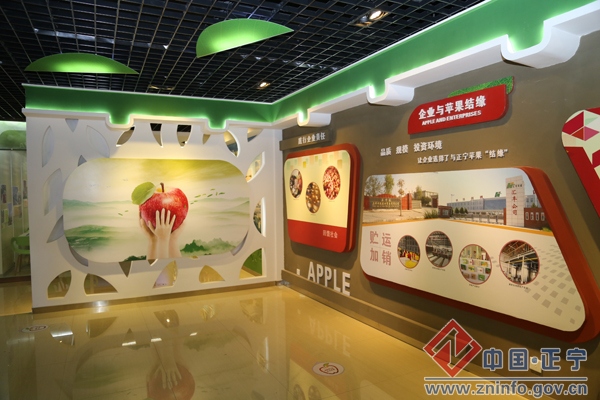 团市委书记罗睿来正宁调研指导工作