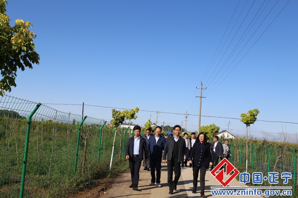 宁县党政考察团来正宁进行考察学习