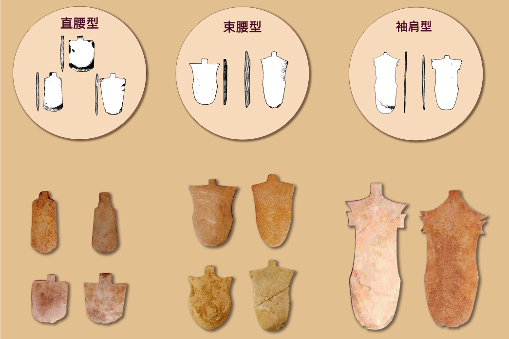 这件4500岁的农具为啥不干农活？