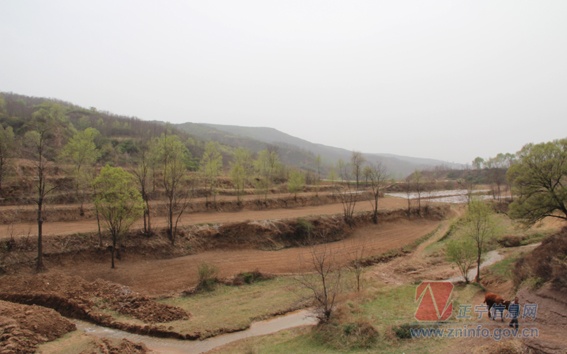 张龙杰：多一些爱心真情和投入让贫困群众过上好日子