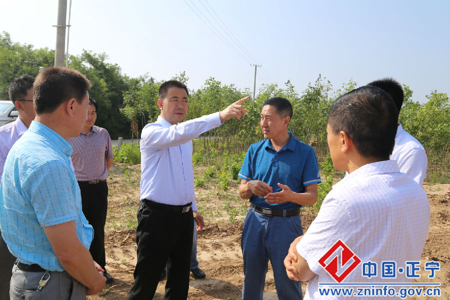 张龙杰督查甜罗高速南罗公路项目建设