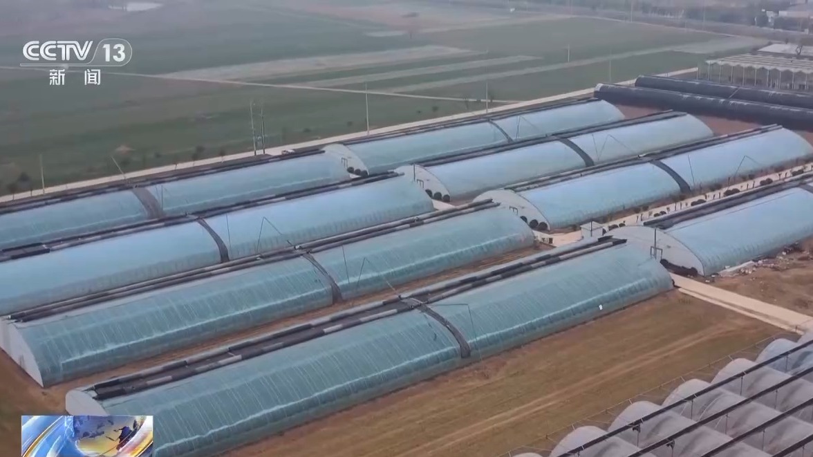 寒潮来袭，农业生产这些防护措施不能少