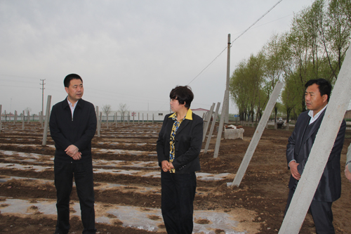 张龙杰督查各乡镇春季农业生产工作