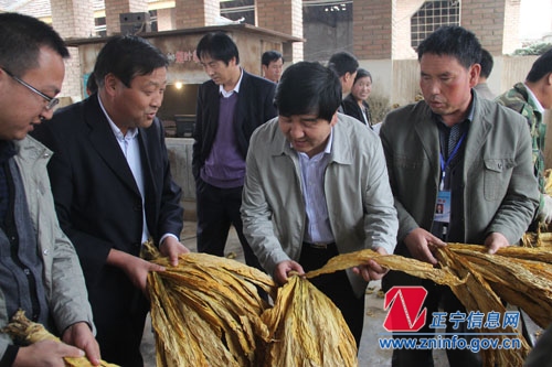 马光荣 曹育铮督查全县烤烟收购管理工作