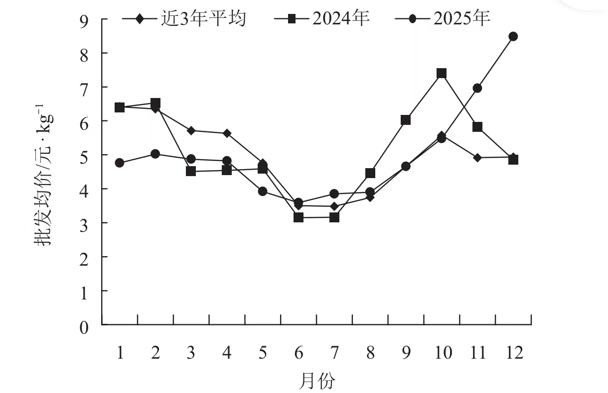 西红柿涨价？不慌，咱的“菜篮子”有保障！