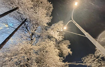 我国将以高水平法治保障粮食安全