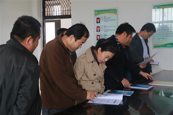 丑一斐督查正宁县村级便民服务中心建设和不作为慢作为专项整治工作