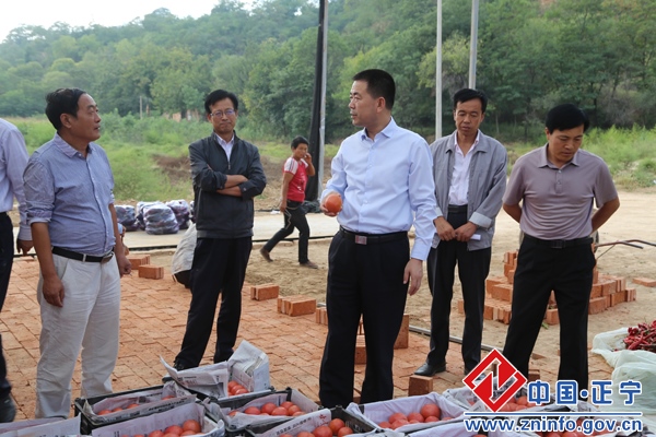 76.jpg 张龙杰督查调研川区蔬菜销售及烤烟收购工作