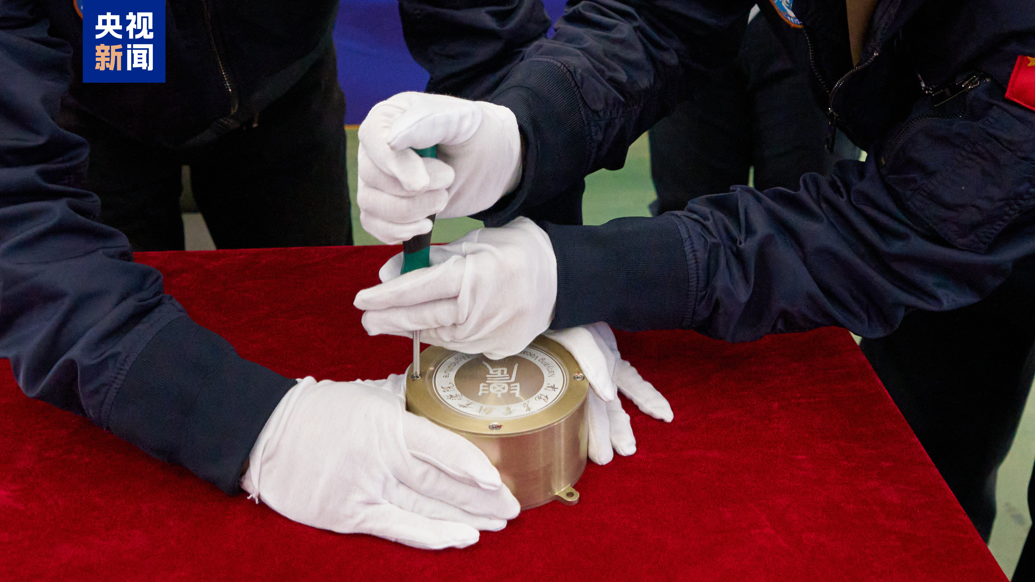 南阳月季种子搭乘“力鸿一号”完成太空诱变并成功回收