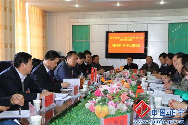 张龙杰参加部分乡镇代表团审议活动