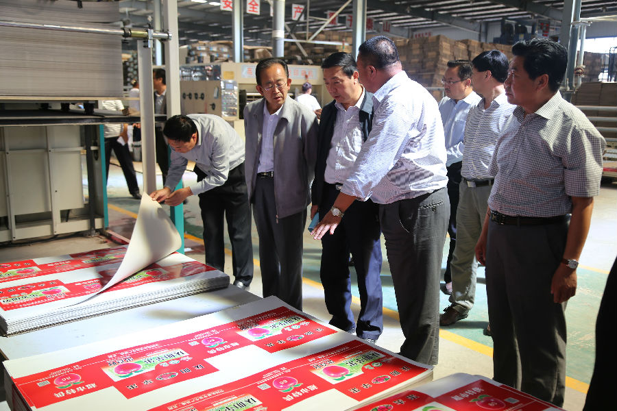 白克金调研正宁县生态文明建设工作