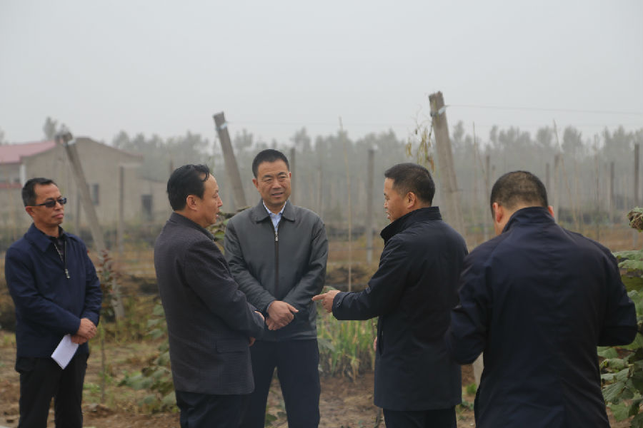 省政府督查我县为民办实事项目