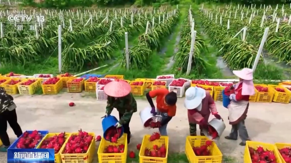 交卷！脱贫地区大变样 这份答卷超亮眼