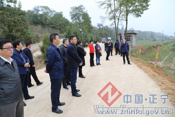 全市挂职干部观摩团来我县考察观摩