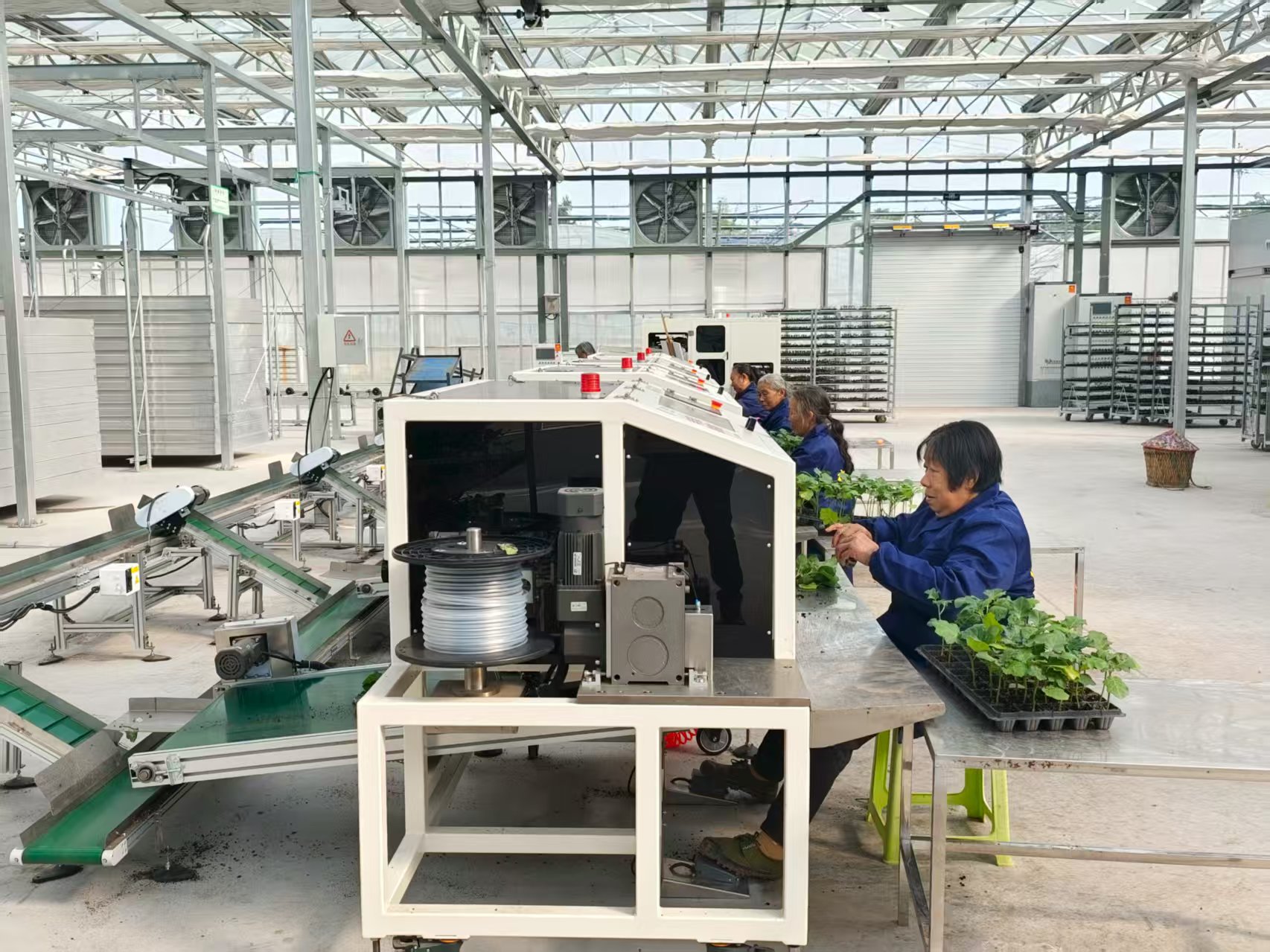 国产果蔬嫁接机实现首次出口