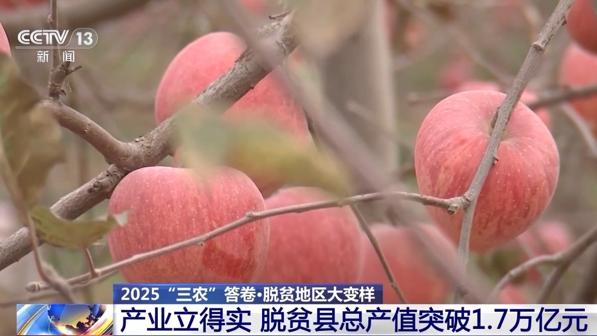 交卷！脱贫地区大变样 这份答卷超亮眼