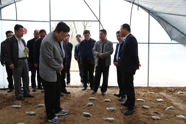 天津市北辰区来我县调研对接协作帮扶工作