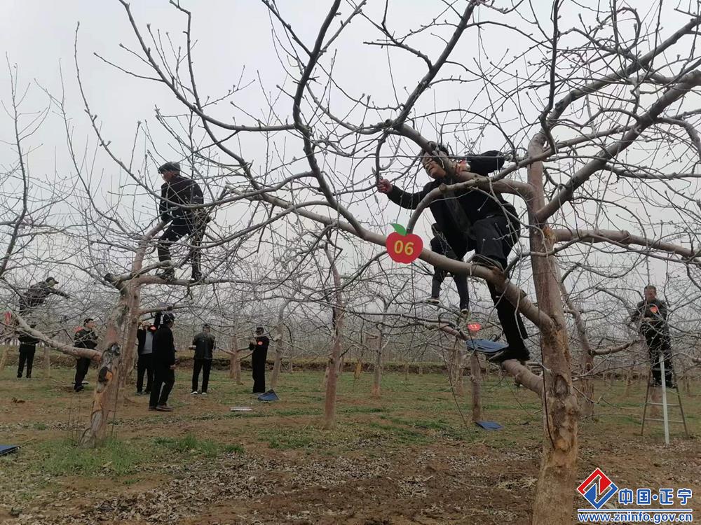 47d180f04acc4fdd9cca9a4e7cb83b7d.jpg 47d180f04acc4fdd9cca9a4e7cb83b7d.jpg