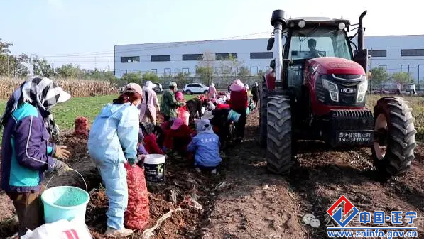 09e2a6626eb94a418cce111a1b9d8dc5.png 09e2a6626eb94a418cce111a1b9d8dc5.png