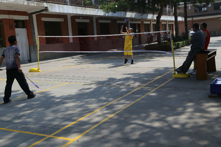 县政府机关秋季运动会赛场掠影