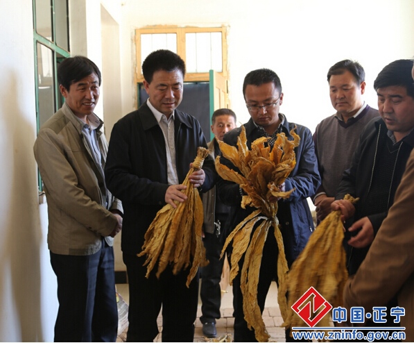 张龙杰督查全县烤烟收购工作