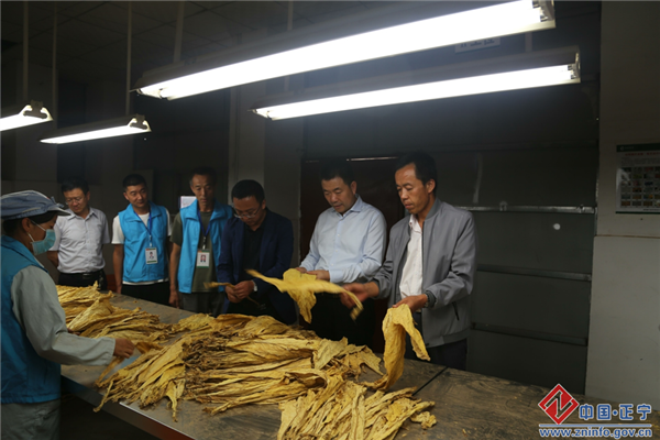 张龙杰督查调研烟叶收购管理工作