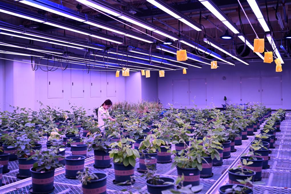 端稳中国饭碗！农作物自育品种超95%