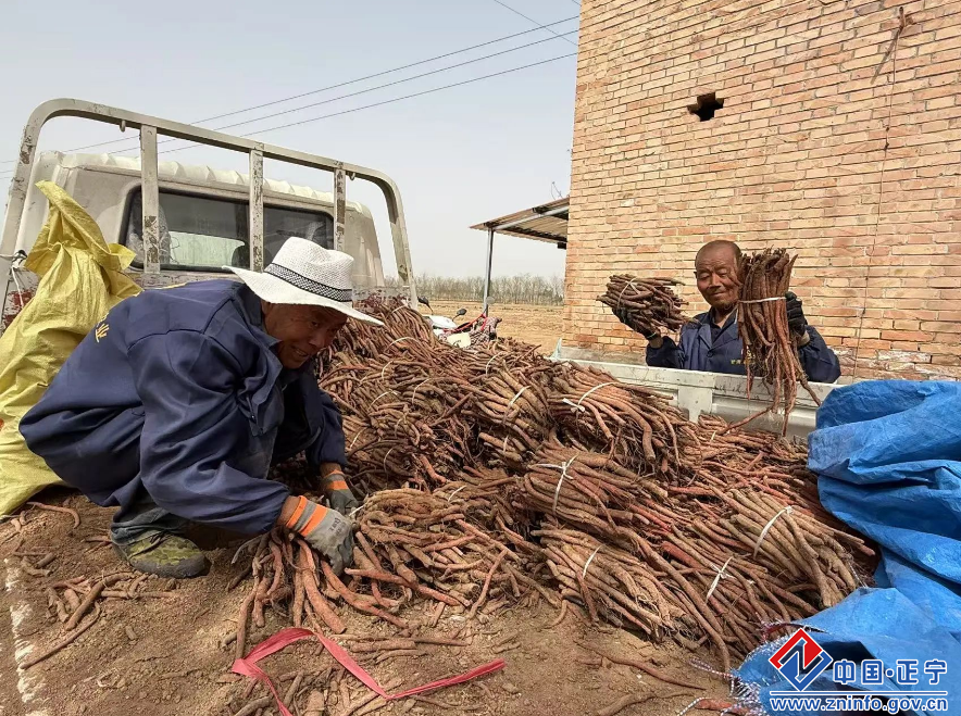 ae2a67750767402e924da6a0905d52ad.png ae2a67750767402e924da6a0905d52ad.png