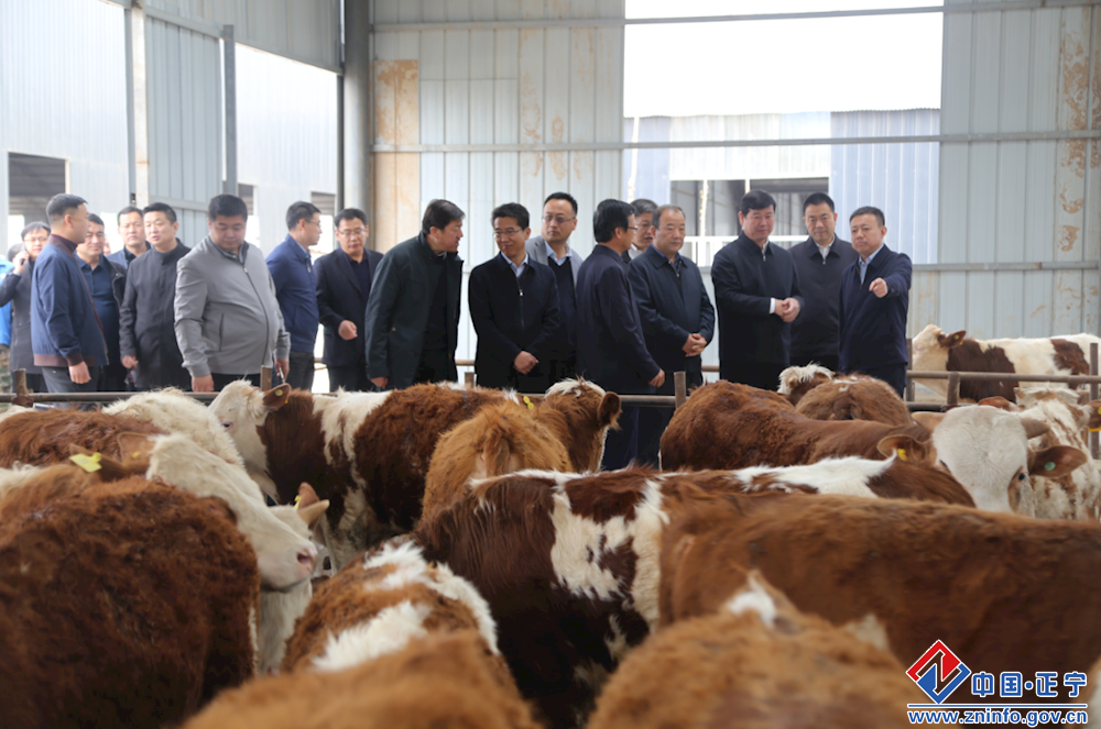 dc757b7931cb4fbabd9923ba739d50ef.png dc757b7931cb4fbabd9923ba739d50ef.png