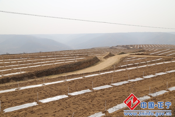 20160321092205328.jpg 段登云督查春季农业生产工作