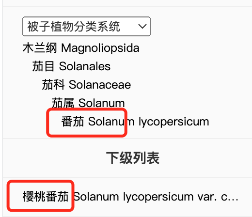 减肥好搭子!这个水果低卡高纤还美味 多吃不怕胖