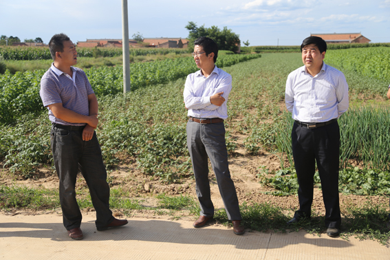 段登云、曹育铮督查调研秋季农业农村重点工作