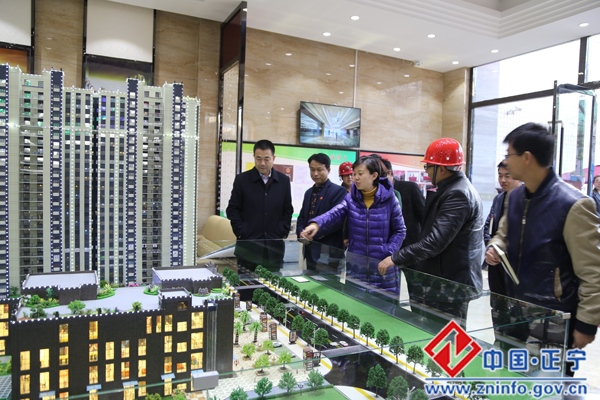 张龙杰督查全县安全生产工作