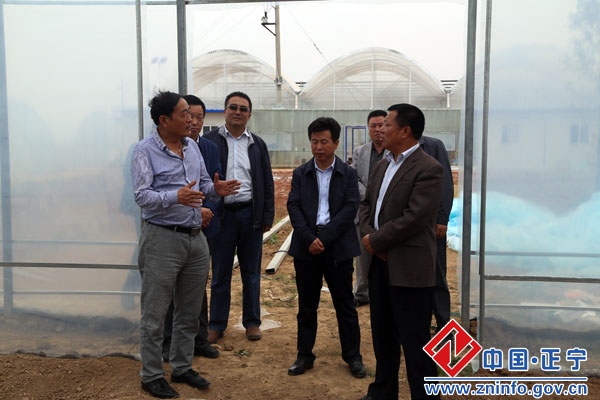 市政协副主席、农牧局局长张怀仁检查正宁县瓜菜生产工作