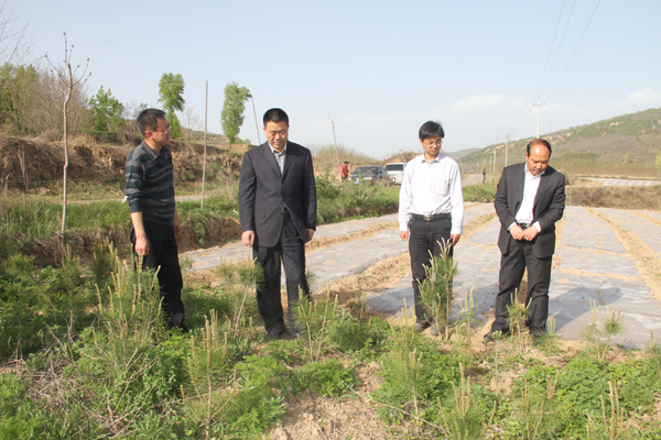 张龙杰深入帮扶联系点开展调研　　