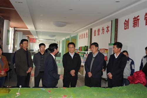 罗俊峰调研正宁城乡规划工作