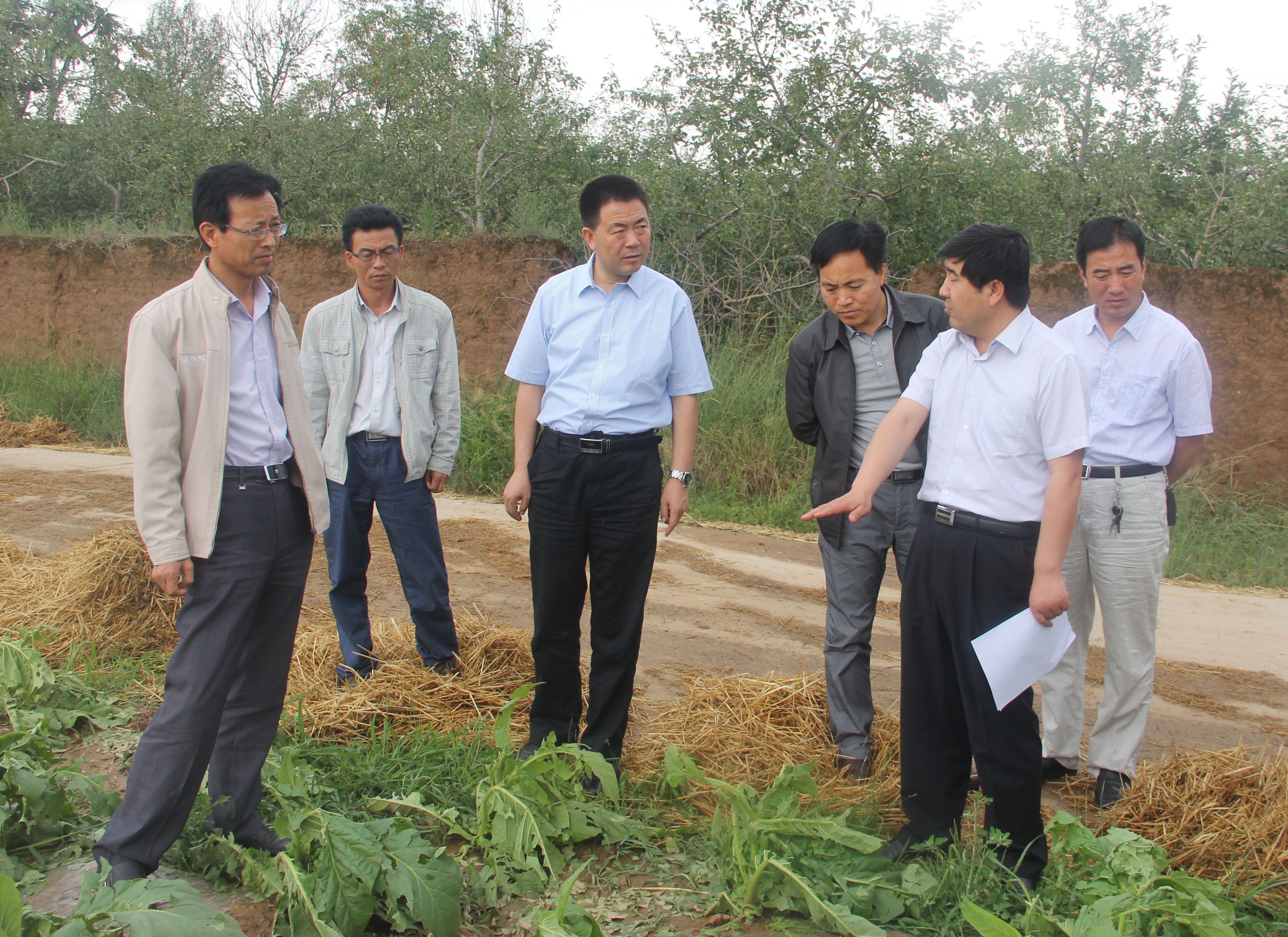 张龙杰深入乡村查看冰雹灾情